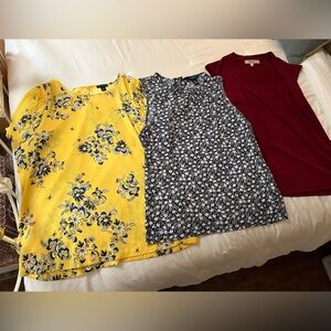 Assorted shells by Chaps, Ann Taylor and Kasper in Petite Large and Large